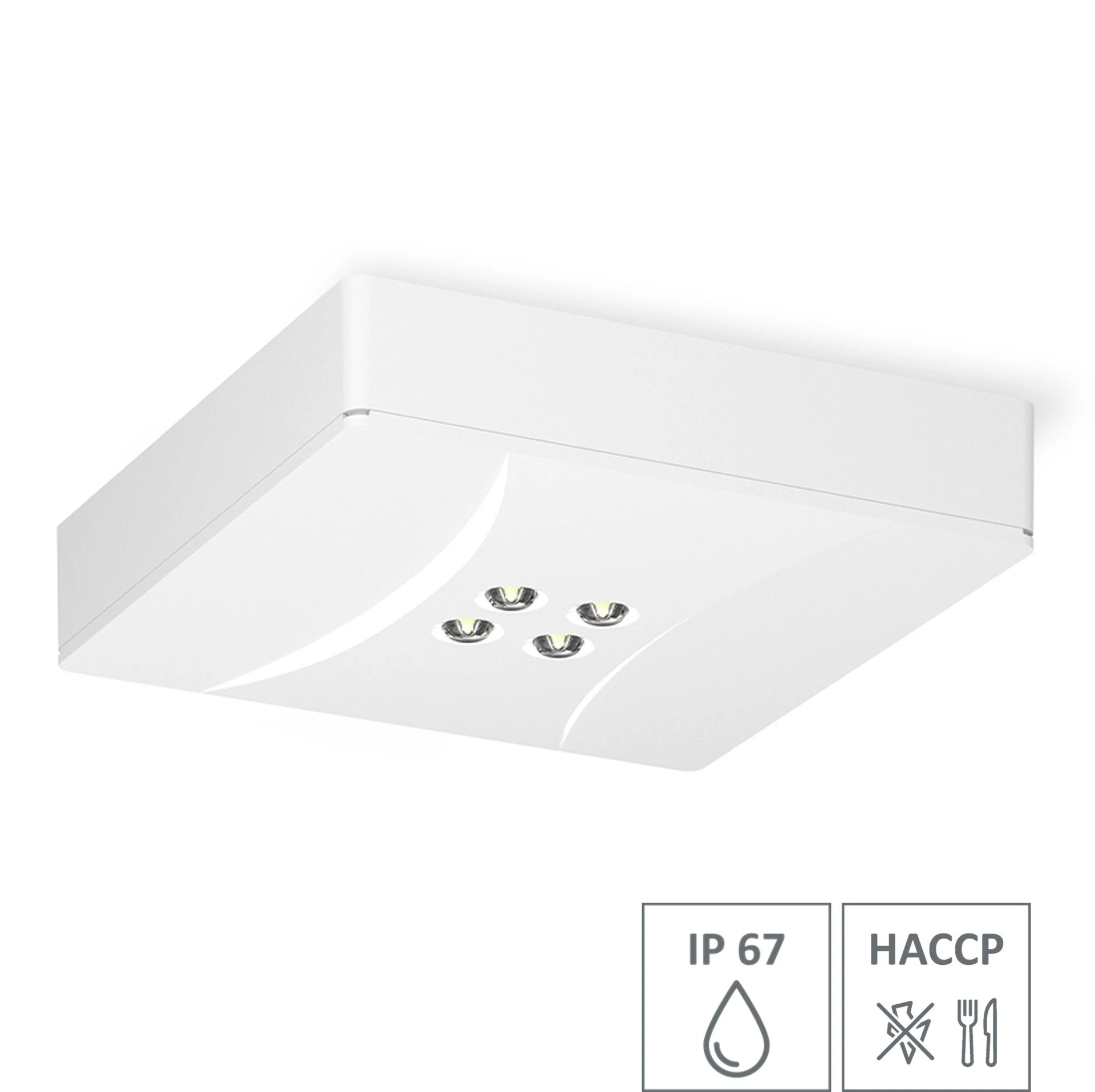 Primus PQ5 - PQ5D (HACCP) (IP67)