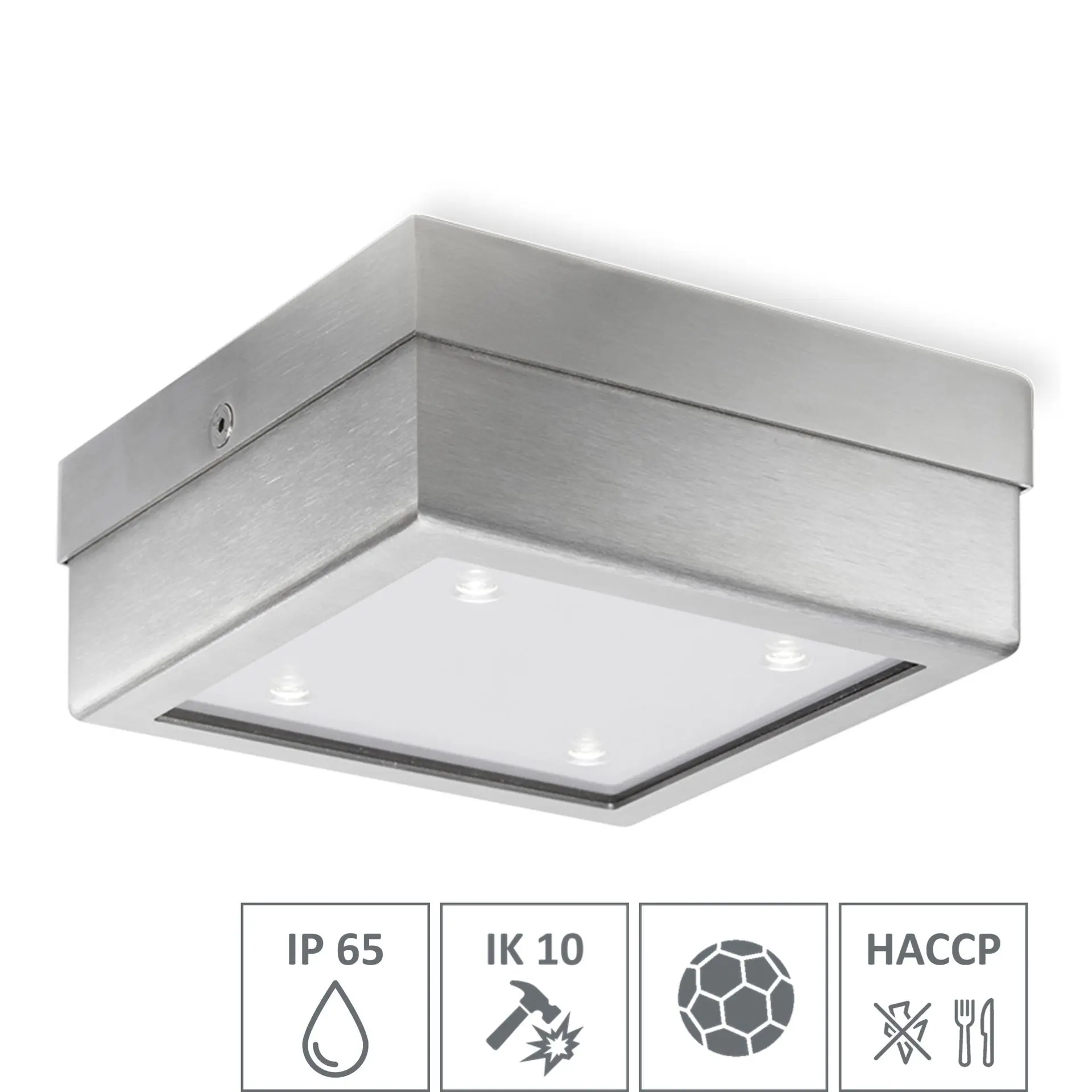 LED-Spot Primus - PS4Q (HACCP) (Ballwurfsicher) (IK10) (IP65)