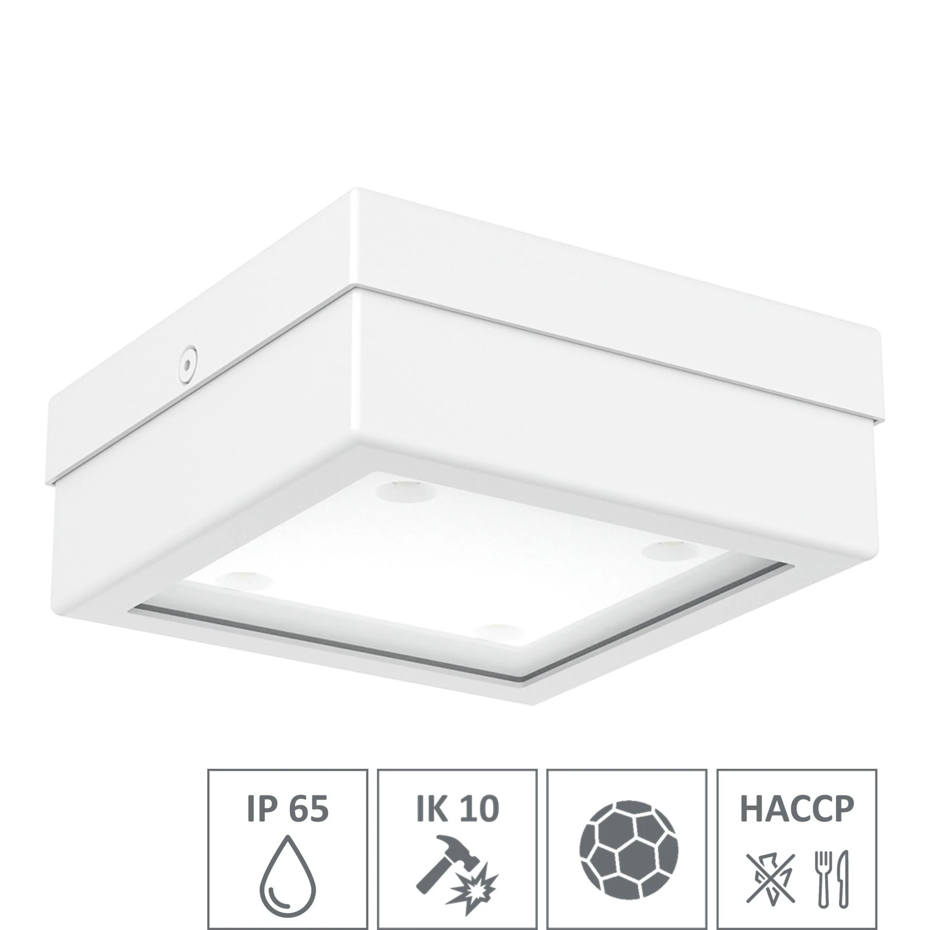 LED-Spot Primus - PS4Q (HACCP) (Ballwurfsicher) (IK10) (IP65)