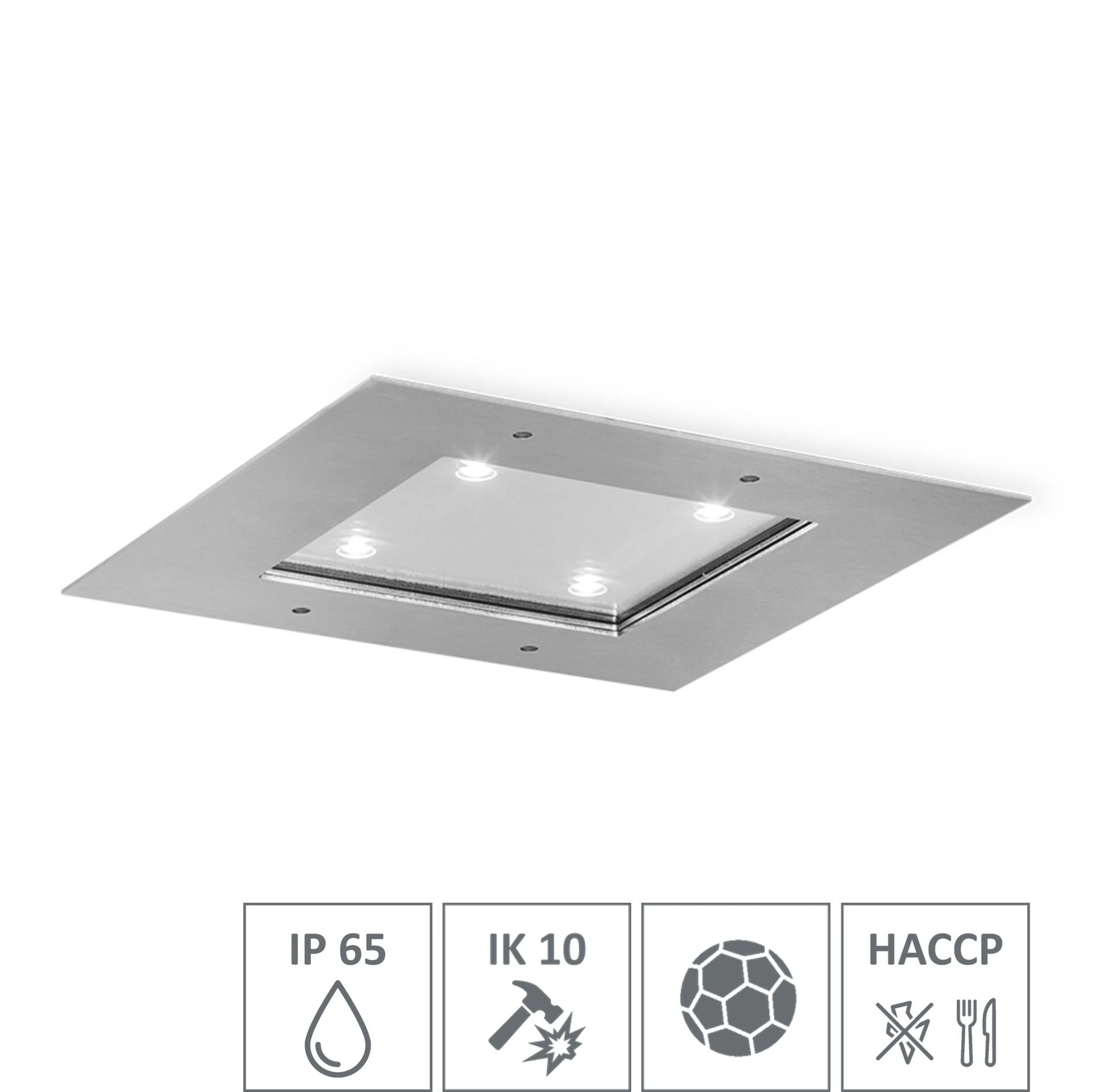 LED-Spot Primus - PS4E (HACCP) (Ballwurfsicher) (IK10) (IP65)