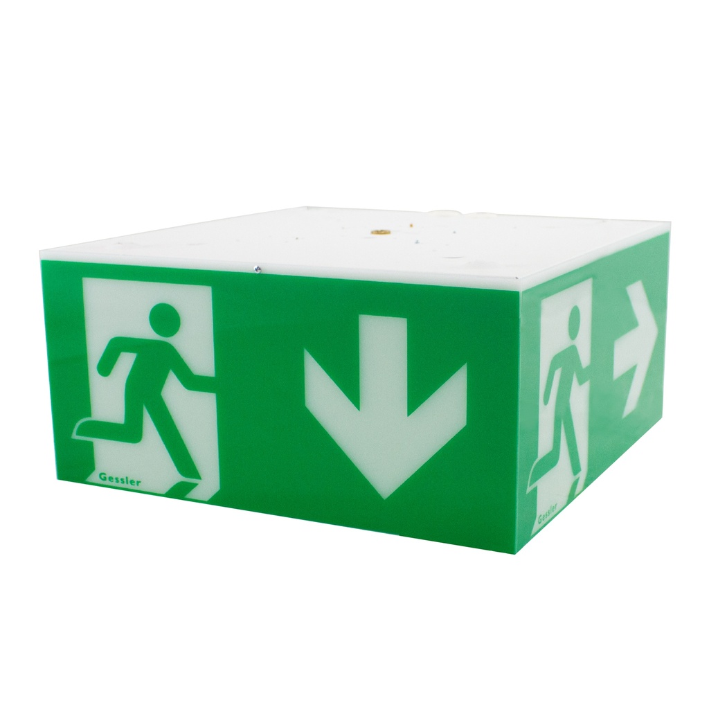 Rettungszeichenwürfel W35 - Deckenaufbaumontage - W35D1230L10MLB10