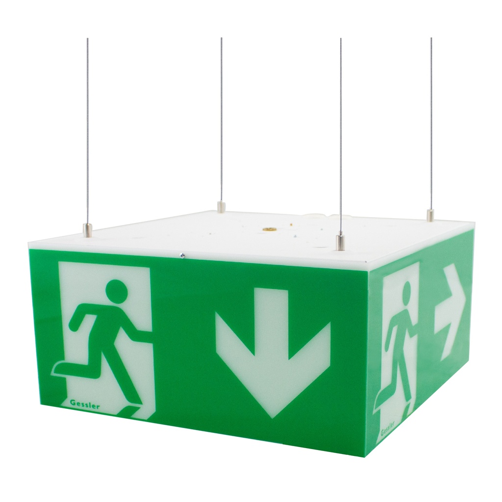 Rettungszeichenwürfel W35 - Seilaufbaumontage 3.0 m - W35S1230L10
