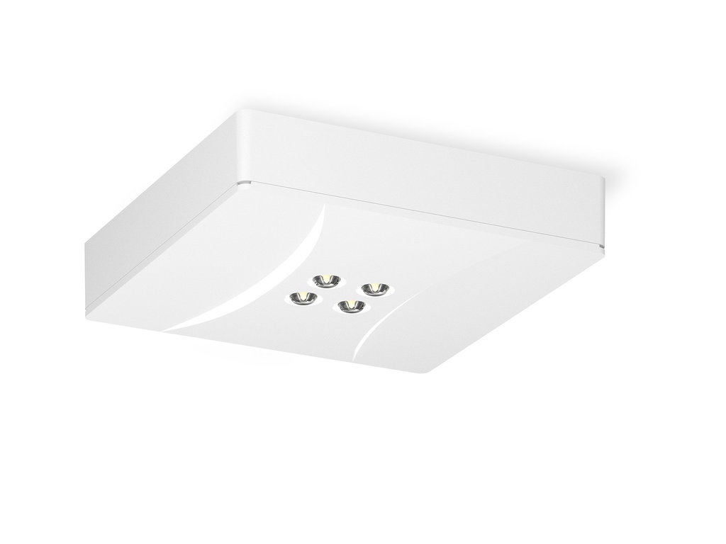 LED-Spot SQ5 - Deckenaufbaumontage - SQ5D1230QEMLB10