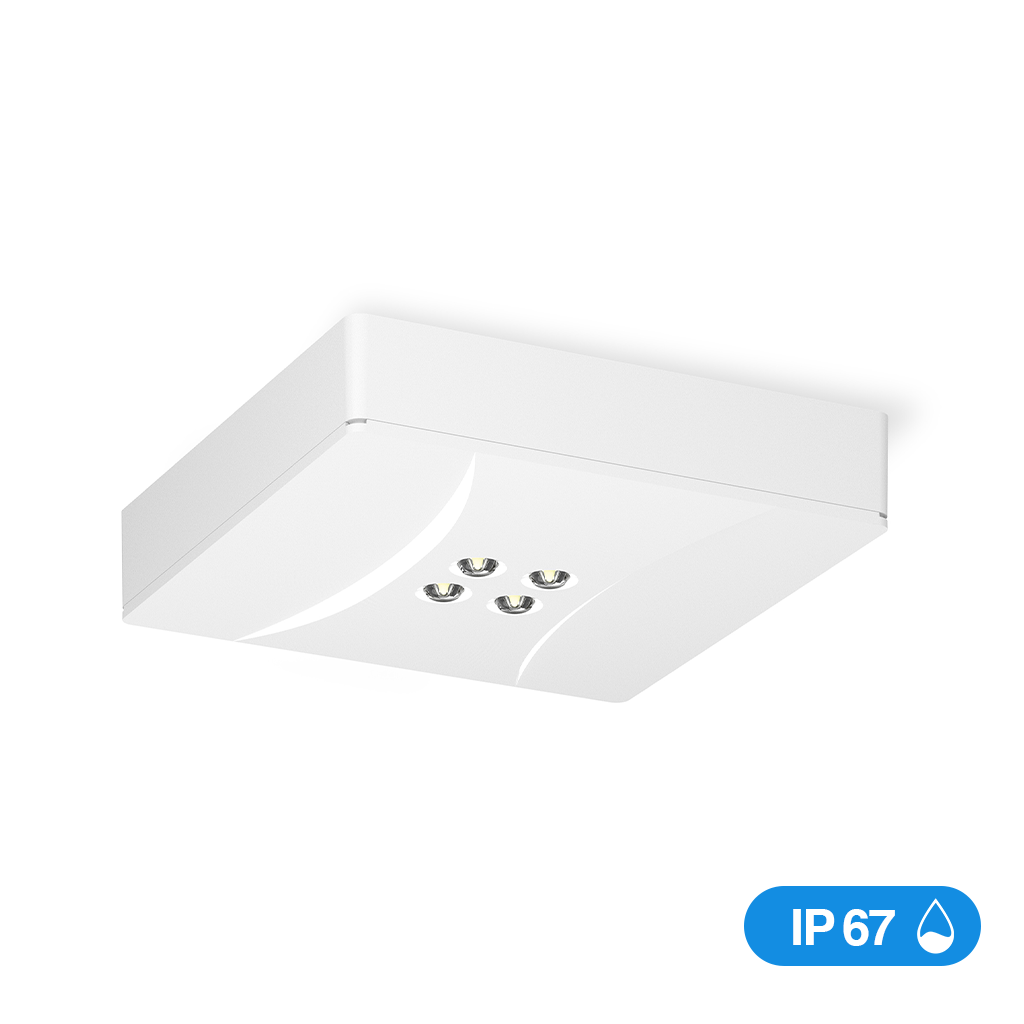 Primus PQ5 - montage plafond - PQ5D1230EQ0GEN01