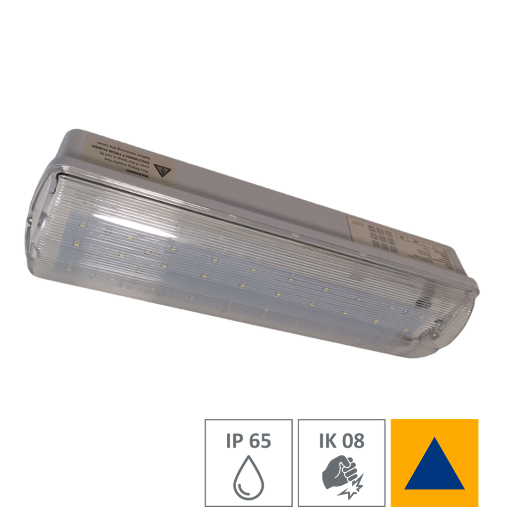 GAMMA I GEN01 BZS - montaggio soffitto/parete - GA1UGEN01