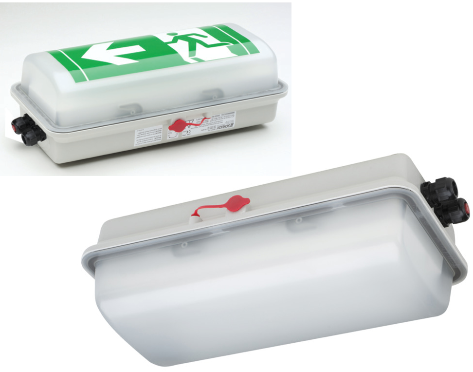 [16679] EX-Lampada - montaggio soffitto/parete - EXNUEVG