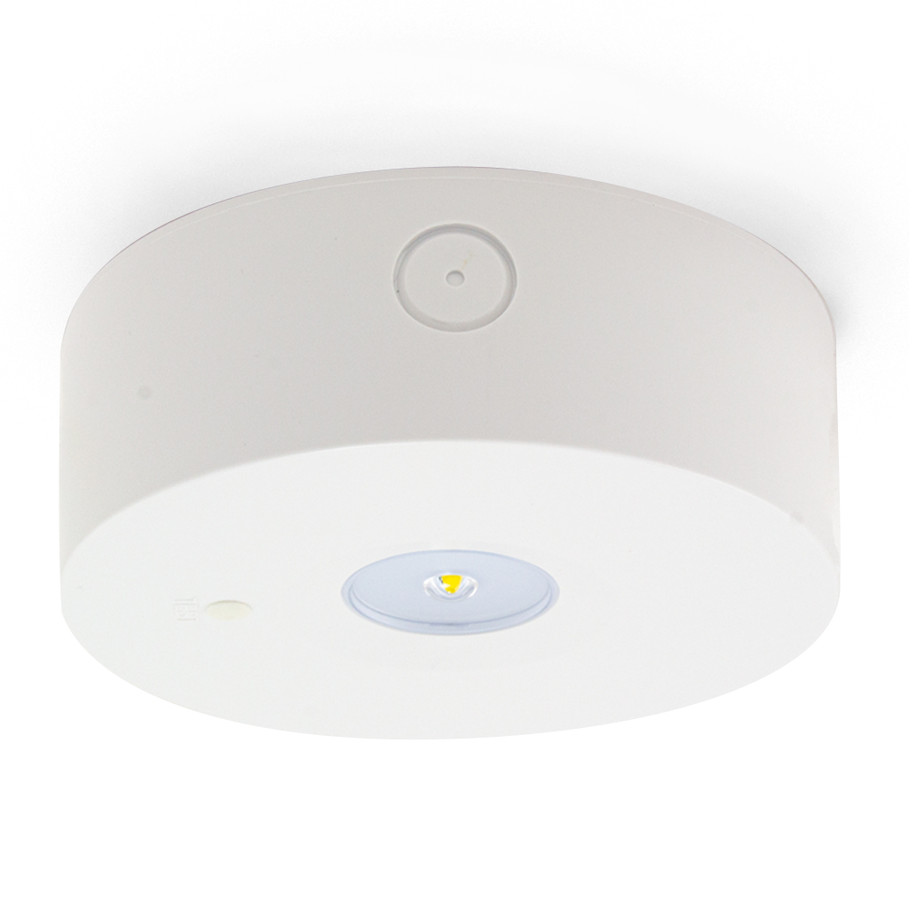 [17953] ALPHA I-S EVG MLB - montage plafond - AL1SMLB