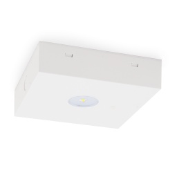[17963] ALPHA III-A EVG MLB - montaggio soffitto - AL3AMLB