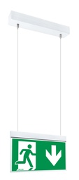 [19499] Display DR4 - Seilaufbaumontage 3.0 m - DR4S1230L10MLB10_3,0