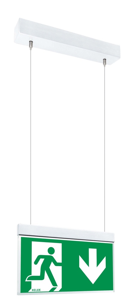[20197] Display DR4 - Seilwandaufbaumontage 1.5 m - DR4SW1230L10GEN01